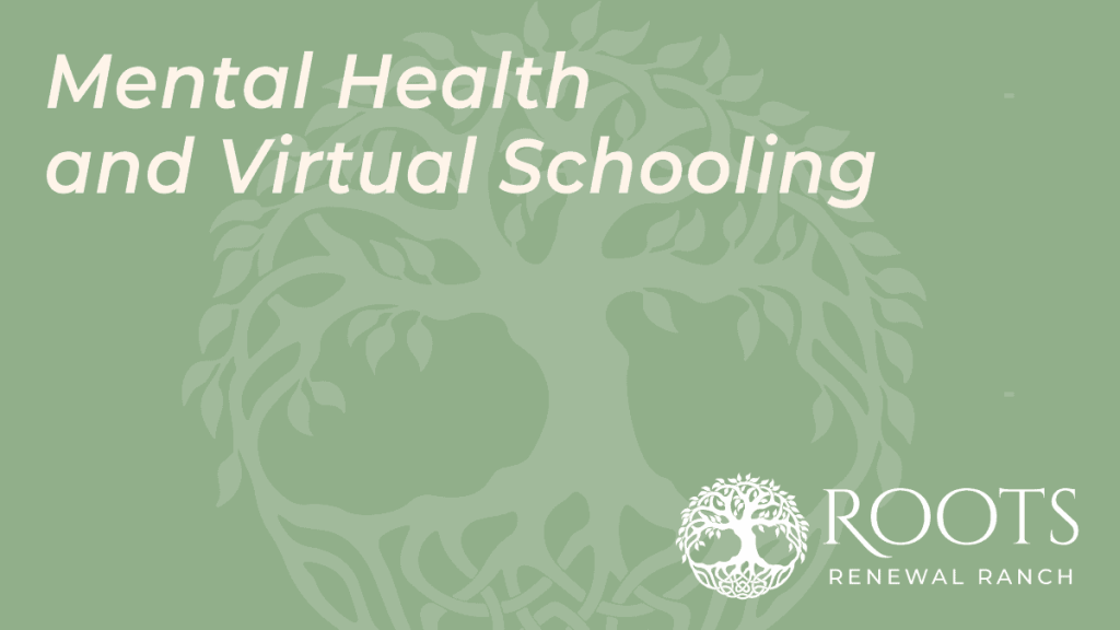 education virtual schooling roots renewal tx