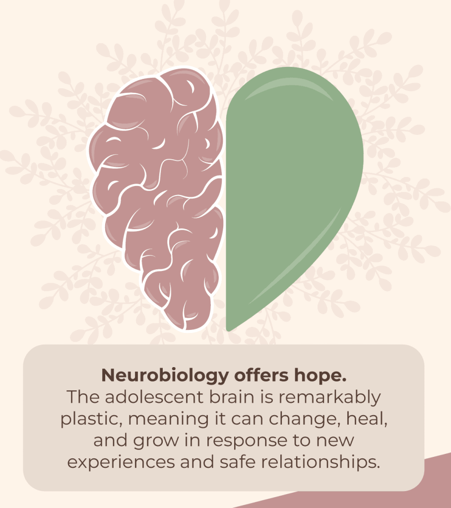 effects of adolescent trauma 2