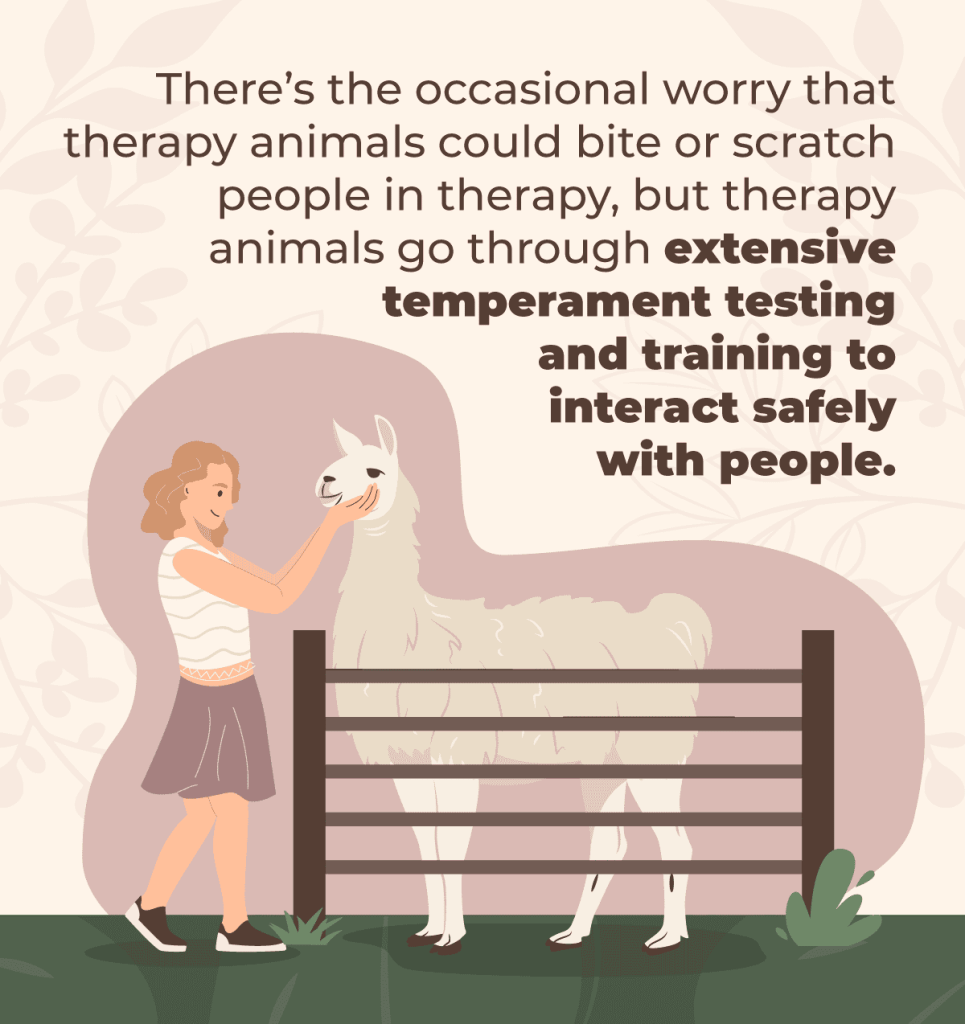 finding animal therapy for girls in the dallas fort worth area