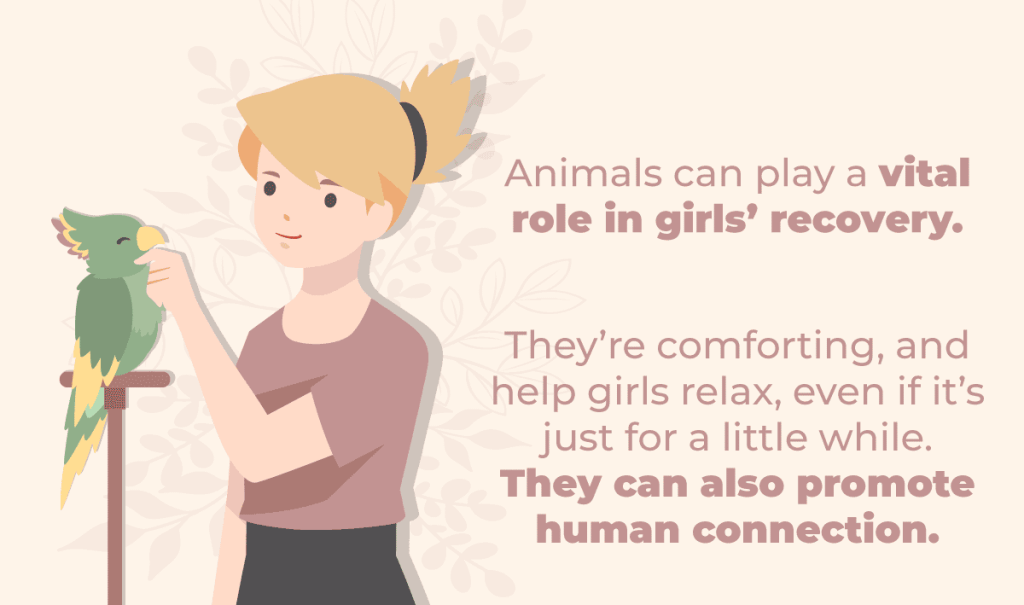 is animal therapy safe